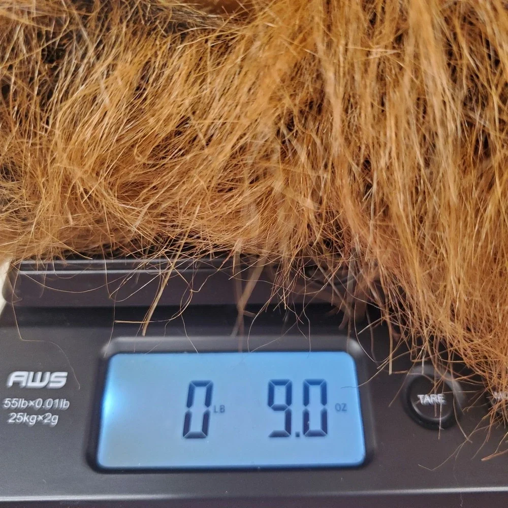 Realistic Lion Head Latex Costume Mask Faux‎ Fur Mane Adult Hood Style OSFM